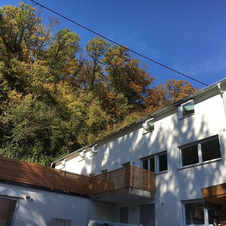 Ferienwohnungen Lamisto Am Waldesrand Neckartenzlingen Dış mekan fotoğraf