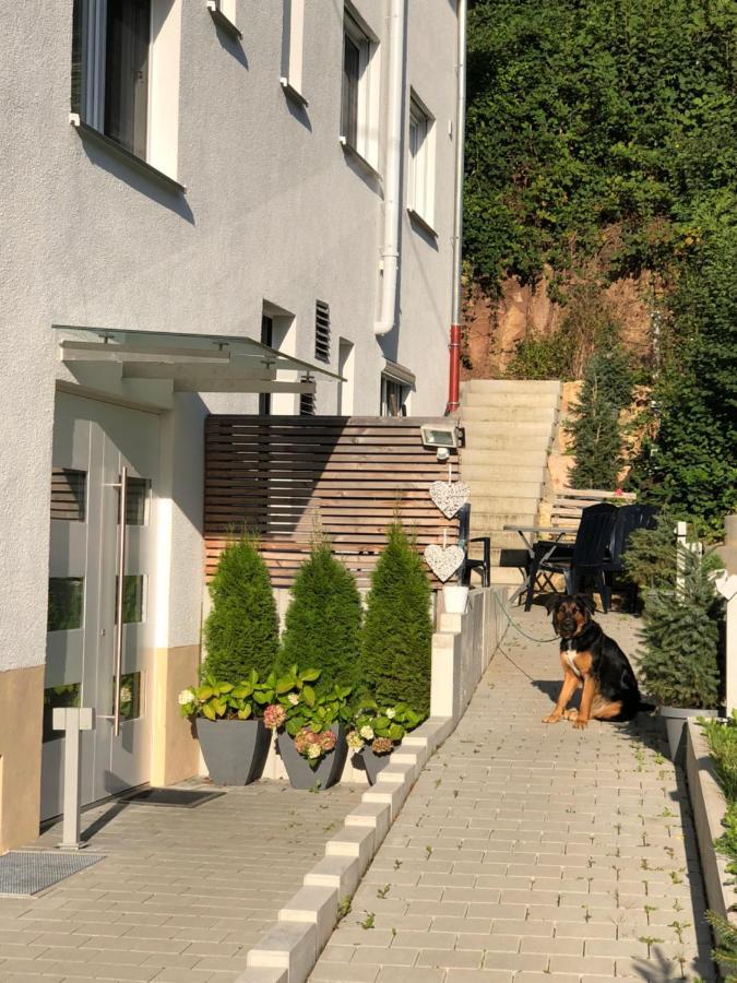 Ferienwohnungen Lamisto Am Waldesrand Neckartenzlingen Dış mekan fotoğraf